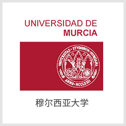 穆尔西亚大学