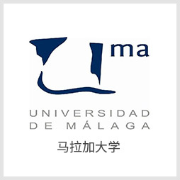 马拉加大学