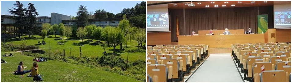 巴塞罗那大学